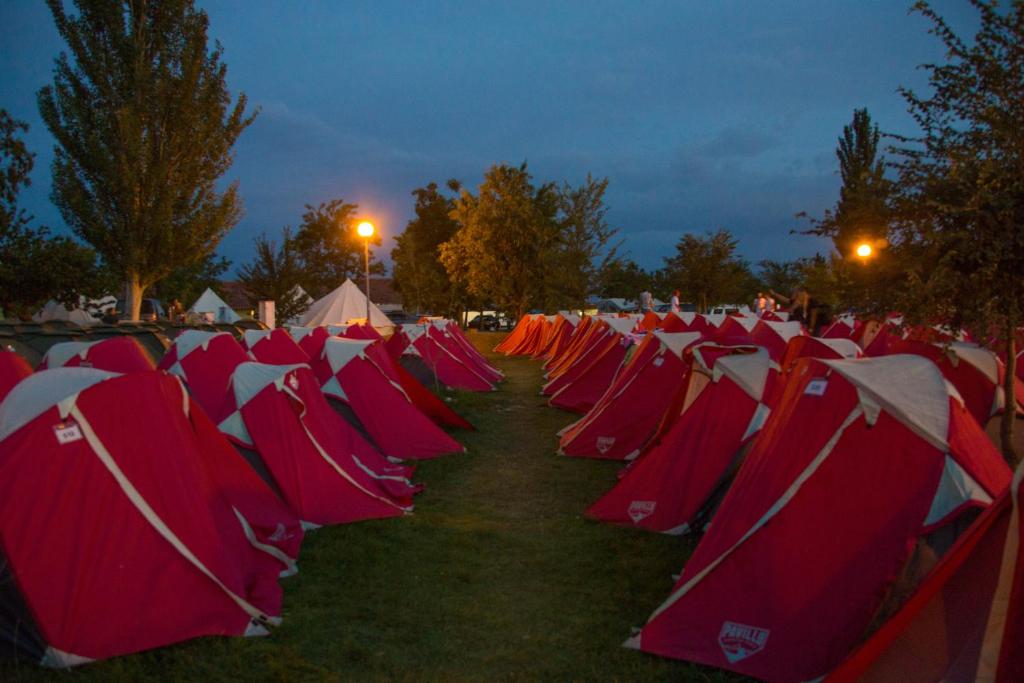 Stoke Travel's Amsterdam Camping